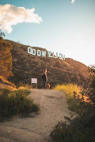 hollywood sign woman standing with brown dog los angeles